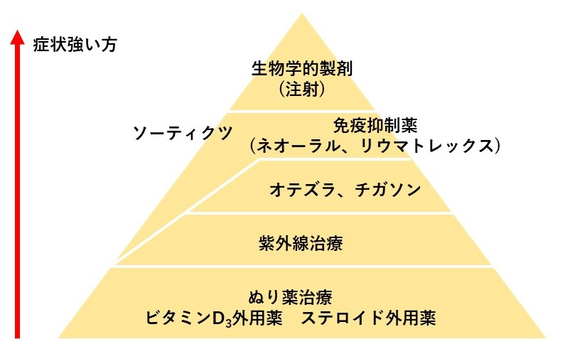 乾癬ピラミッド