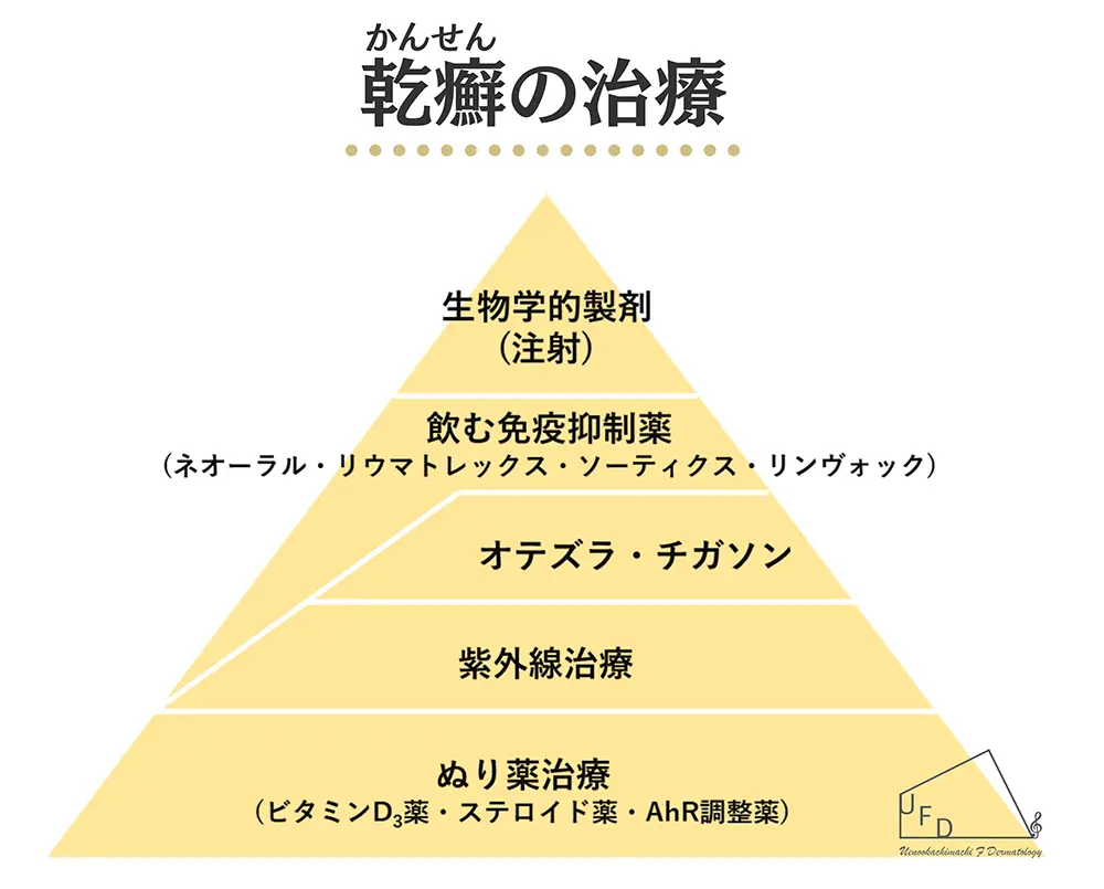 乾癬ピラミッド