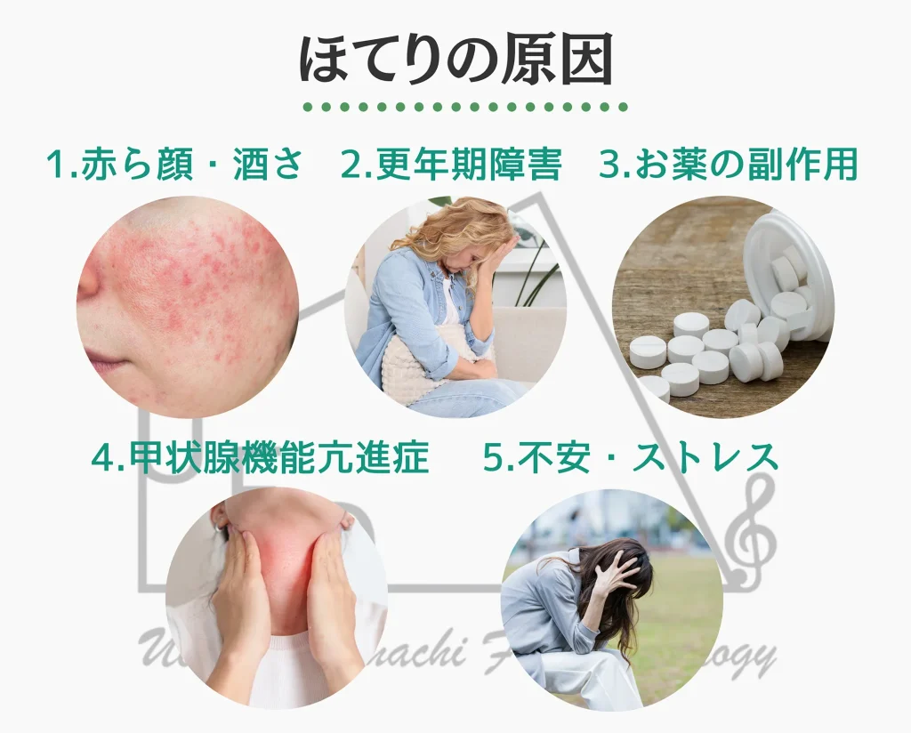 顔のほてりの原因を詳しい解説とともに5つ紹介