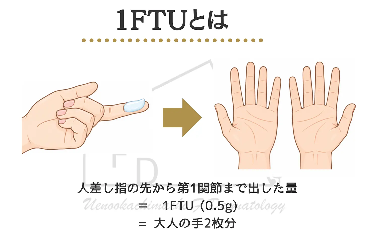 1FTUの説明図。人差し指の先から第1関節まで出した量が1FTU（約0.5g）で、成人の手のひら約2枚分に塗れることを示した図