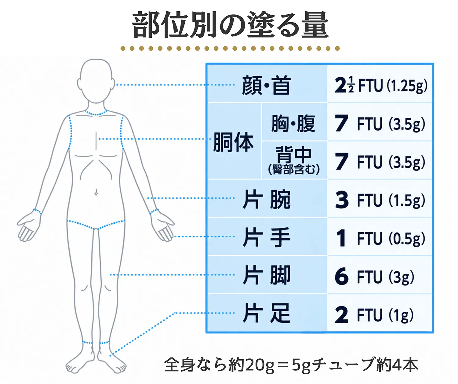 部位別の塗る量の目安。顔・首2と2分の1FTU、胸腹7FTU、背中7FTU、片腕3FTU、片手1FTU、片脚6FTU、片足2FTUを示した図